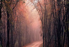 德转更新意甲各队身价：北方三强均有下滑，超半数球队身价不及维尼修斯.