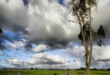 德转更新意甲各队身价:北方三强均有下滑,超半数球队身价不及维尼修斯.