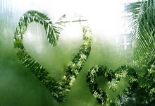 [德甲]斯图加特逆转战胜柏林联合.