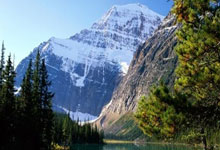 樊振东后，陈梦发文宣布退出WTT世界排名陈梦微博、樊振东微博.