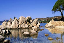 迪马尔科：为球迷我们要继续努力；接下来专注于米兰德比.